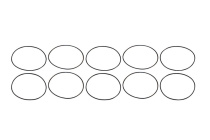 O-Ringar 10-pack För (12308/12317/12318/12319) Aeromotive